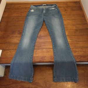7 for all mankind Jiselle Flare